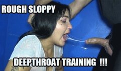 DEEP THROAT SPIT FETISH 230628H ANITA SLOPPY DEEPTHROAT TRICKS SD WMV