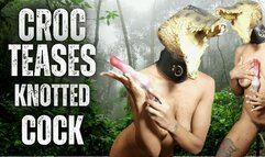 Croc Teases Knotted Cock