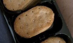 AFTERNOON FEEDING WATCHING MY FAVE GAME SHOW