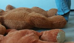 Sandra is trampling and crushing 2 Big bears barefoot and with sexy Birkenstocks