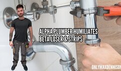 Alpha plumber beta loser humiliation