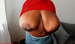 Maja meets Pam Part 198 - Big Boobs Bouncing in tight translucent Shirts (Clip No 2460 - wmv version)