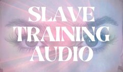 Mesmerizing Submissive Training Audio