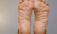 KITTY'S HOVERING PAWS