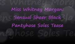 Miss Whitney Morgan: Sensual Sheer Black Pantyhose Soles Tease pt1 - mp4