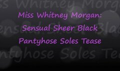 Miss Whitney Morgan: Sensual Sheer Black Pantyhose Soles Tease pt1 - wmv