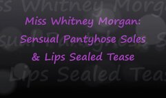 Whitney Morgan: Sensual Pantyhose Soles & Lips Sealed Tease - wmv