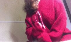 HJ The unrivaled temptations of my wife in red sweater