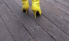 Dixon in Silence Is Golden