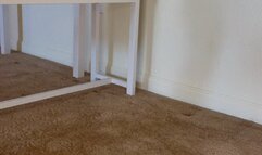 Sexy Calves n Arches