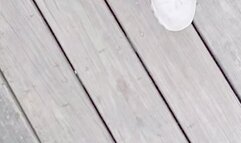 Tempest enjoying walking in nature