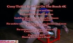 Corey Tickled By Milos On The Bench 4K