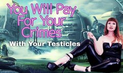 You Will Pay For Your Crimes WMV