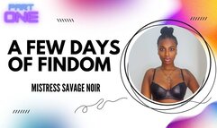 A Few Days of FinDom