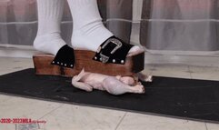 Mila - Special ironing service - chicken