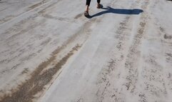 THE BEST OF MY ONE SHOE AND SHOE LOST