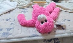 No Victim, No Problem