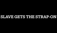 Slave gets the Strap-On