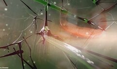 Addiction Is A Bitch Or A Fa**ot