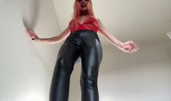 Giantess Stomps on Bug