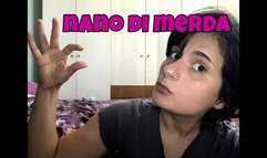 Nano di merda