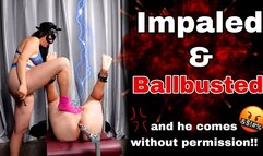Femdom Ballbusting CBT Bondage Ruined Orgasm Cumshot