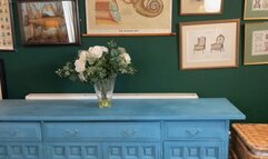 Rara the Spy gets caught by masked villain