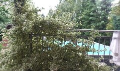 Three girls go for a nude swim