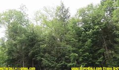 Amazon on the hill Part 3