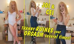 JOI and CEI from Tranny Girl! Stroke Loser and ruine your orgasm! GERMAN!