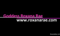 Why You Can't Get Pussy