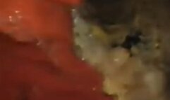 Stomach internal vore exploration pillcam while eating Japanese Futomaki and Sashimi - Second Part FullScreen Long Version 720HD