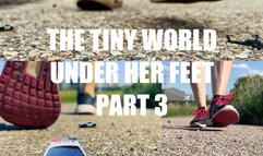 The Tiny World Beneath her Feet PART 3 720