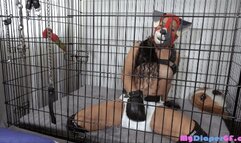 Soggy Puppy Humper 4K