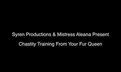 Chastity Training From Your Fur Queen (1080p)