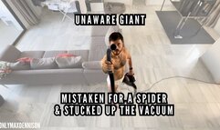Unaware giant - Mistaken for a spider and sucked up the vacuum