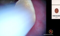 Trussardi Lights 100s inside