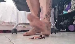 Avi StepMommy fetish Lolas stepSon shrinks himself to spy in her dirty sweaty feet and ass shes angry because he didnt do any chores and has dissapeared when she finds him she punishes him by smothering him under her huge ass farting on him showing him be