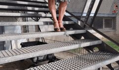 One day with my Wedges