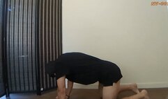 Self-Bondage Cat & Cow Transformative Breathwork