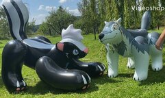 skunk and wolf bounce