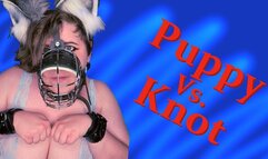 Puppy vs Knot: Big tit pet takes thick knotted dildo