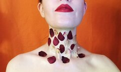 Rose petals on a long neck