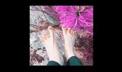 POV HIKER CHICK Dirt Feet at the beach removing sneakers and socks feeling the ground