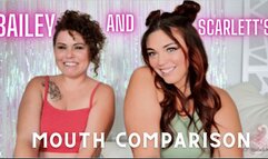Bailey and Scarlett's Mouth comparison