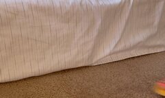 Flip Flop True Story