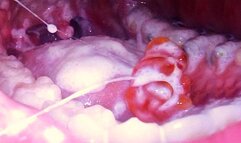 Tiny Spy in My Food - CUSTOM