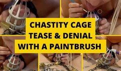 Chastity Cage Tease & Denial with a paintbrush
