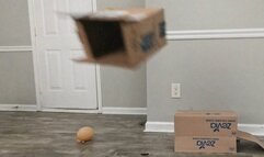 Fat Ass Jiggles and Shakes as Sexy Goddess Stomps on Disgusting Trash 1080smaller