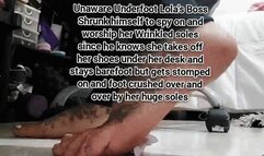 AviUnaware Underfoot Lolas Boss Shrunk himself to spy on and worship her Wrinkled soles since he knows she takes off her shoes under her desk and stays barefoot but gets stomped on and foot crushed over and over by her huge soles